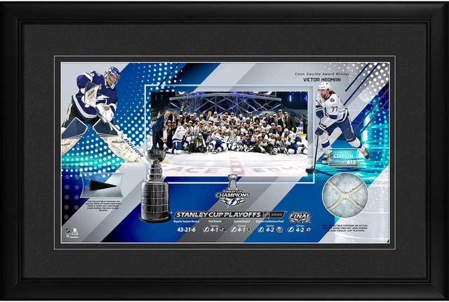 Tampa Bay Lightning 2020 Champs Frmd 10" x 18" Collage & Piece of GU Puck & Net