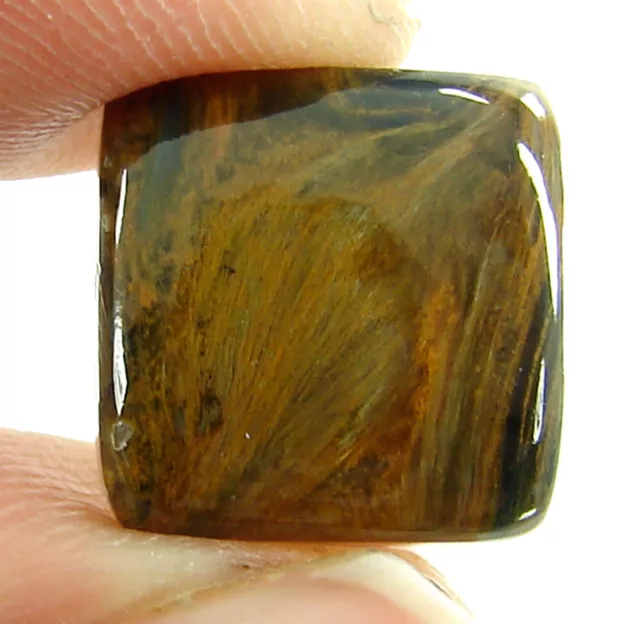 6.55 CT Naturel Doré Pietersite Desseré Gemme Cabochon Câble Drapé - 2313