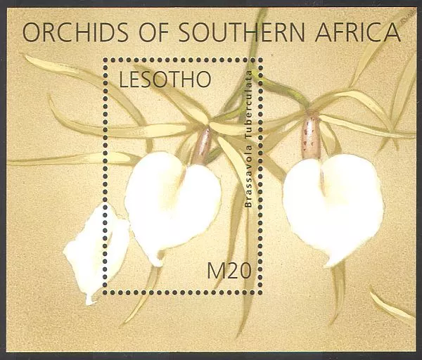 Lesotho 2002 Flowers/Orchids/Plants/Flora m/s (s2294)