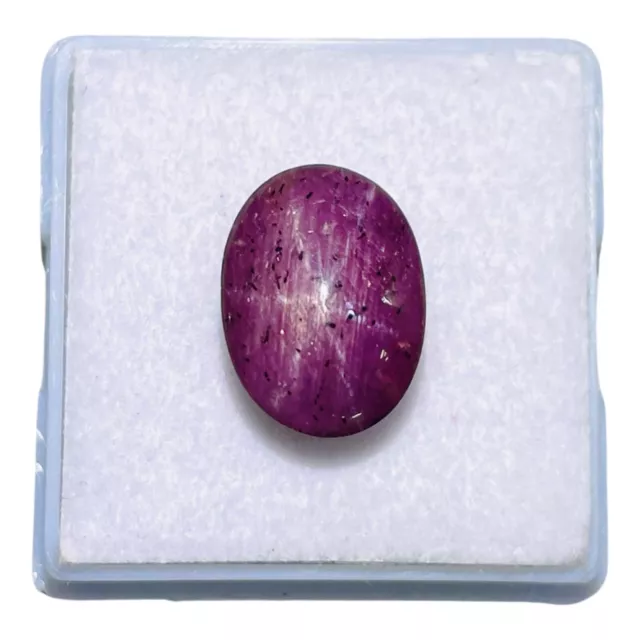 10.15 Cts Unheated Natural Star Ruby Oval Cabochon Ring Size Loose Gemstone