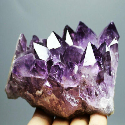 Natural Gemstone Amethyst Quartz Cluster Druzy Geode Crystal Healing Specimen