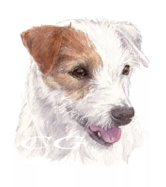 PARSON RUSSELL TERRIER no2.       3 Blank Dog greeting cards by Christine Groves