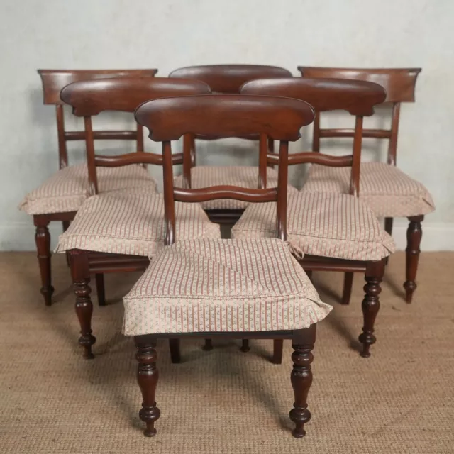 6 Antique Dining Chairs Mixed Set Victorian Early Mid 19th Century