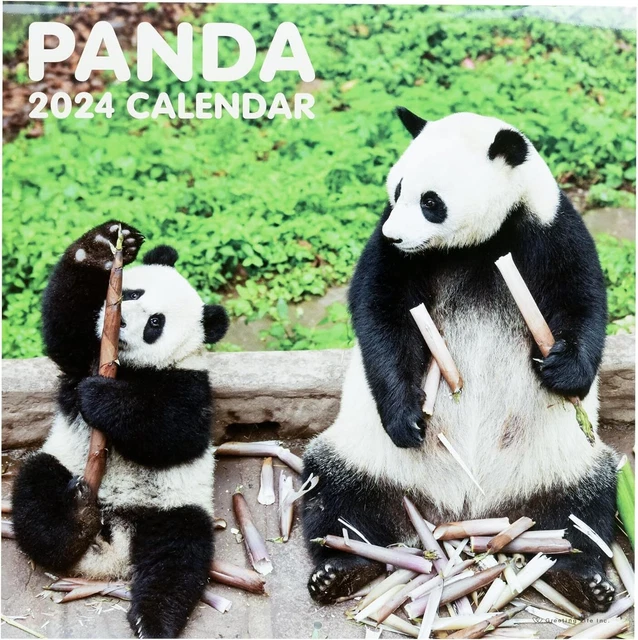 GREETING LIFE 2024 Calendar Panda W Body size W300xH300xD80mm wall