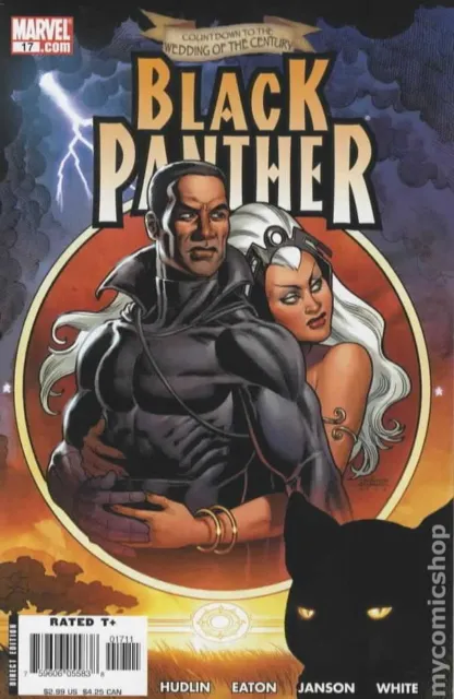 Black Panther #17 FN 2006 Stock Image