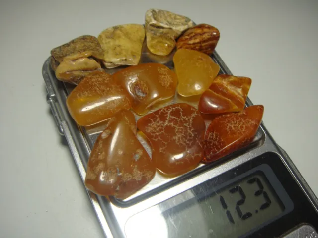 AMBER / raw baltic stones bernstein natural bursztyn POLISHED genuine 琥珀 (e293