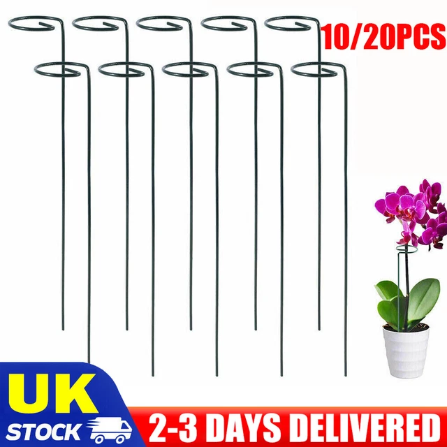 10/20PCS Plant Support Stakes Flower Support Single Stem Plant Support Stakes UK