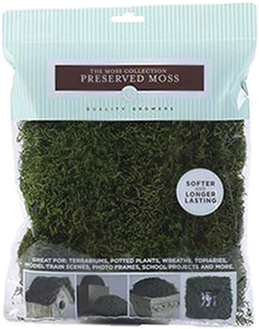 Hoja preservada musgo 112,5 pulgadas cúbicas