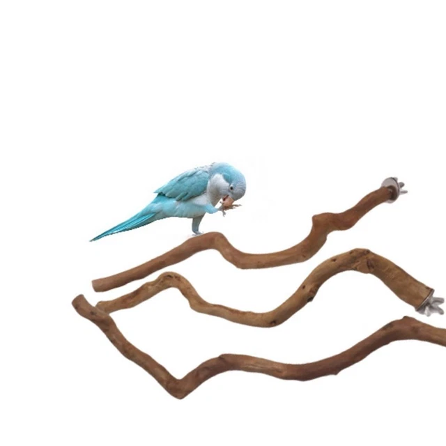 Holz Papagei Vogelständer Sitzstangen Haselnuss Vögel Wellensittich Spielzeug! 3