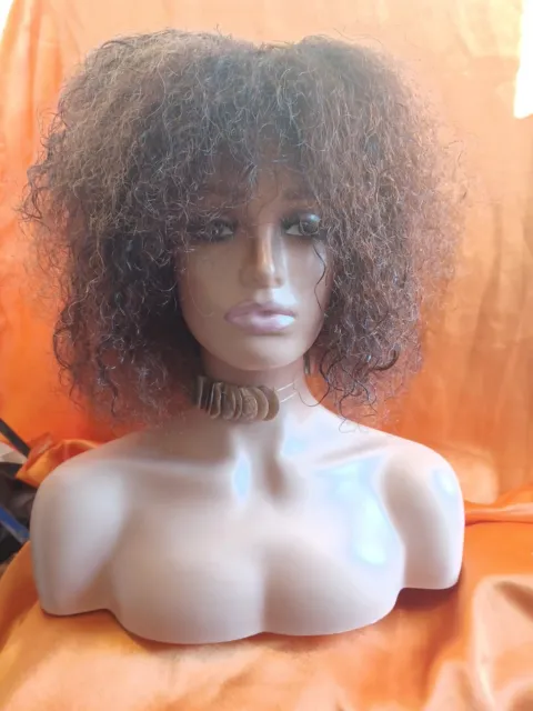 Afro Curly Human Hair Wig