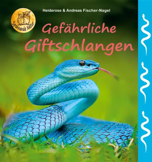 Heiderose Fischer-Nagel Gefährliche Giftschlangen