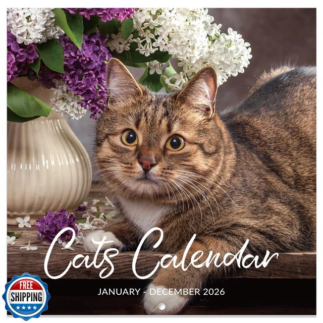 Wall Calendar 2026 - Jan 2026 To Dec 2026, 12x24 Inch Monthly Square, Thick Paper
