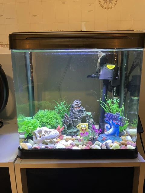 Pondon 3 GAL Fish Tank & Accessories-Ready to Use-Filter, Decor, Heater etc USED
