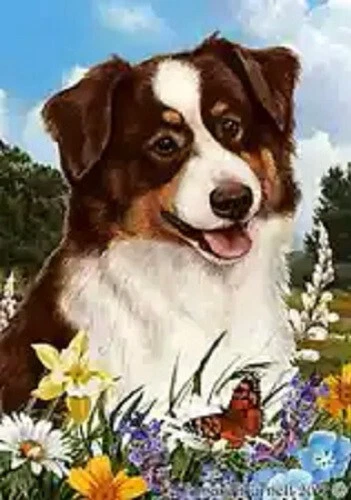 Summer House Flag - Red Tri Australian Shepherd 18202b