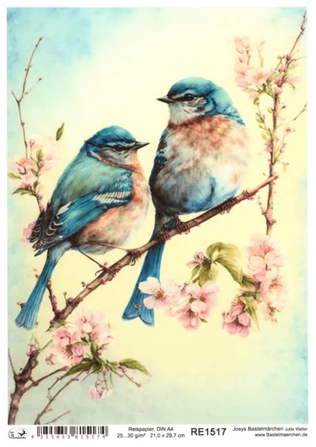 Papel de arroz A4 seda de paja decoupage pájaro azul sobre rama flores de cerezo RE1517