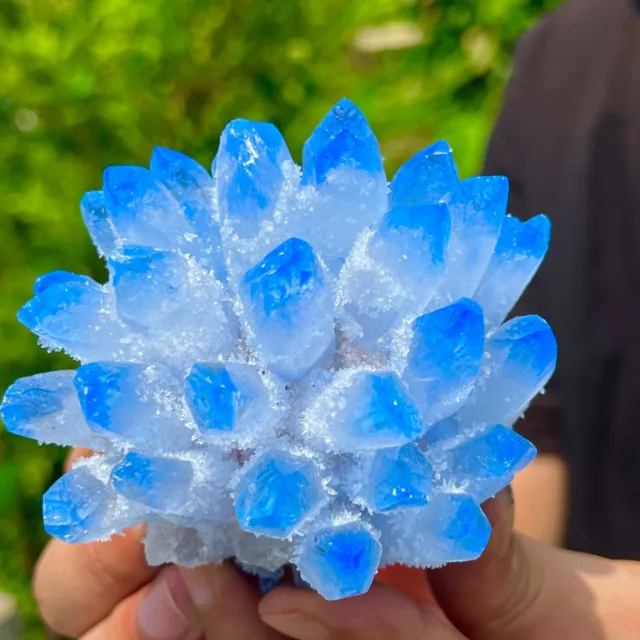 392G New Find sky blue Phantom Quartz Crystal Cluster Mineral Specimen Healing