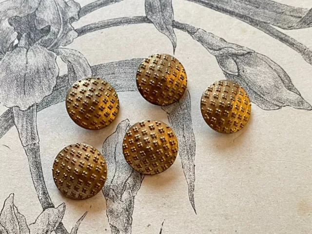 5 boutons anciens en métal doré - forme conique - collection - mercerie