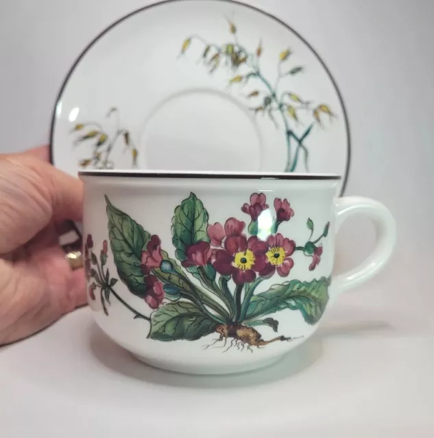 Villeroy & Boch Botanica Oversized Cup & Saucer Red Flowers Avena Sativa 3 X 4"