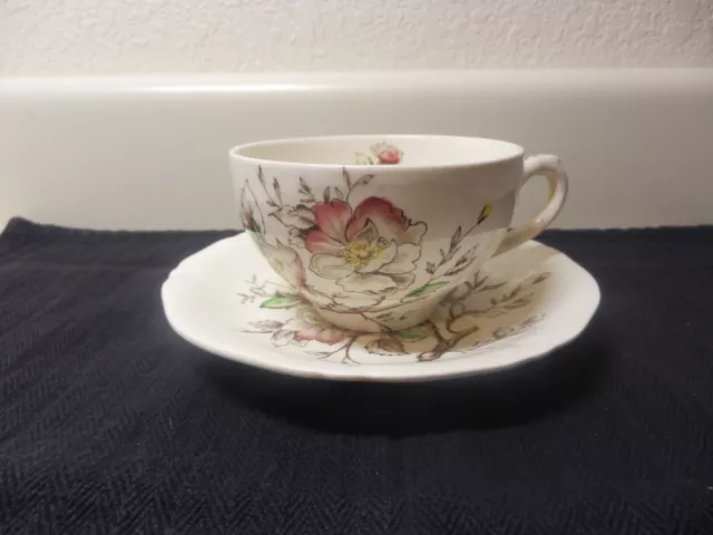 Alfred Meakin Wild Rose Coffee Cup & Saucer Set England - HTF - *EUC*