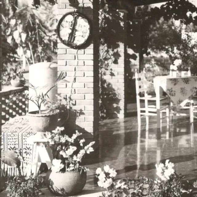 1950s RPPC Breakfast Terrace Royal Courts Hotel Monterrey Nuevo Leon Postcard