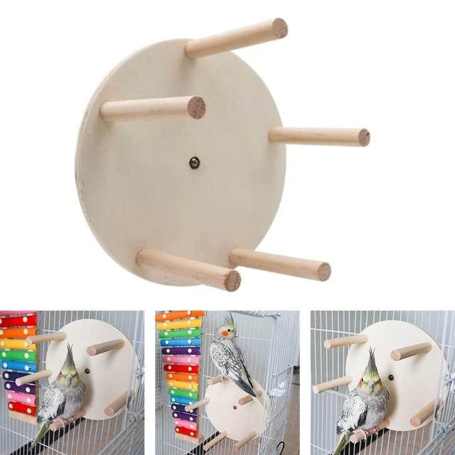 Photo inspiration: Gallery Detail: Parrot Cage Perches Birds Wooden Playground Playstand Gyms Play For