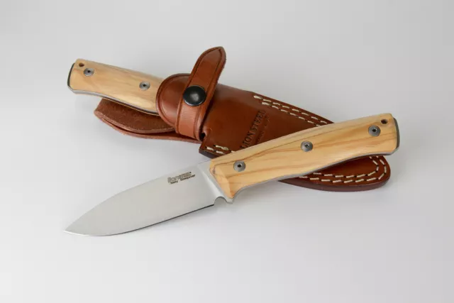 LionSTEEL B35 Olive wood handle Outdoor Hunting Camping Fixed Blade Knife