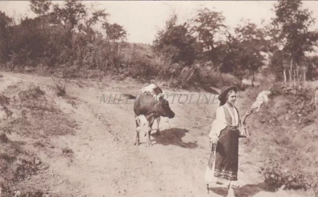 ROMANIA - Girl in Traditional Costume and Cow - C. Sfetea Photo Postcard