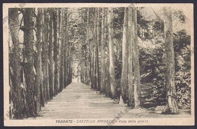 Tradate Castello anni 10 viaggiata #2858 