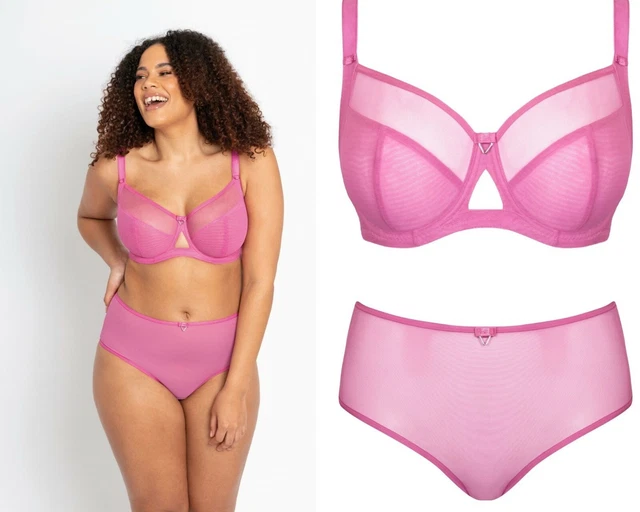 curvy kate victory amore