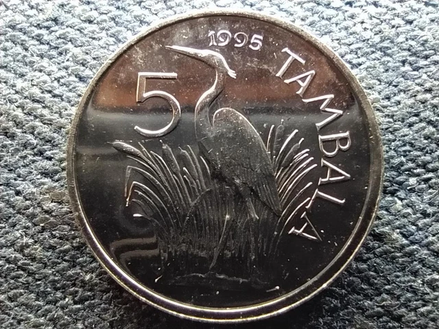 Malawi 5 Tambala Coin 1995 UNC