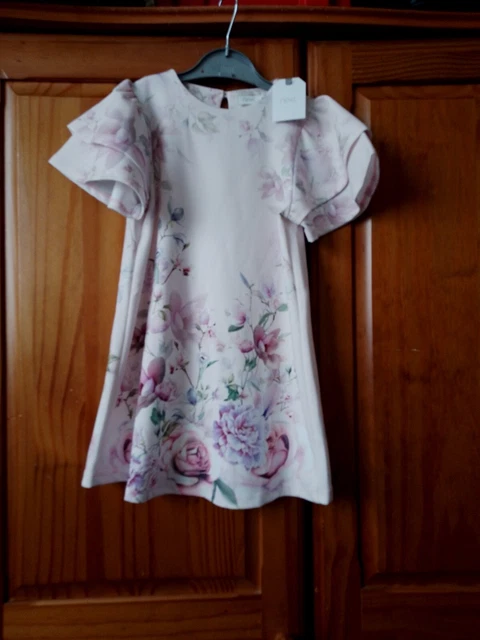 BNWT Next Girls Dress Patel Pink  Floral - Age 4