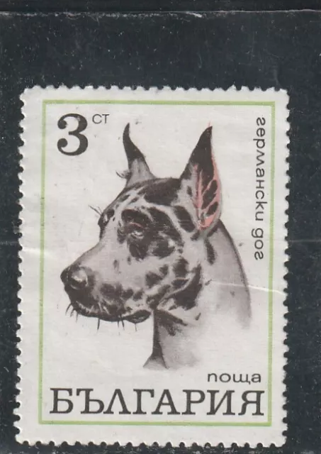 L5860 BULGARIE TIMBRE  N° Y&T 1801 de 1970 " Chien Danois " Oblitéré
