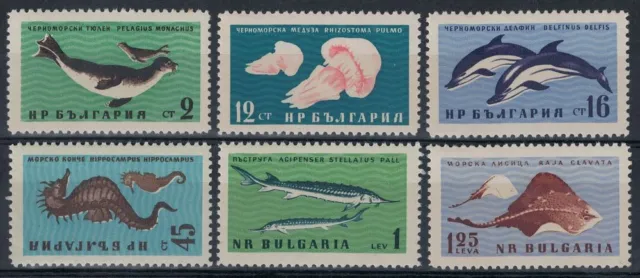 BULGARIA 1961 Fauna del Mar Nero 6v MNH**