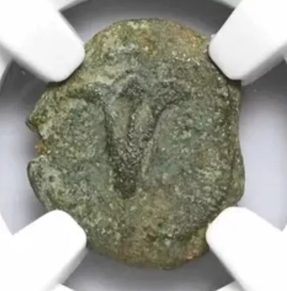 NGC VF John Hyrcanus I 135-104 BC, Judaea Jesus Widows Mite Bible Flower Coin