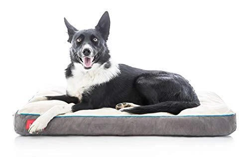 Shredded Memory Foam Dog Bed with Removable Washable Cover-Plush Orthopedic P...