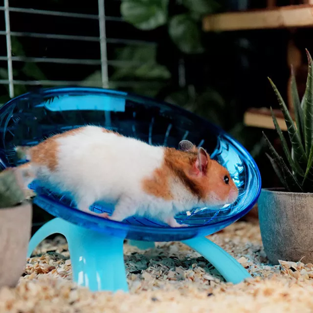 Pet Hamster Disco volante Esercizio Scoiattolo Ruota per criceto Mouse