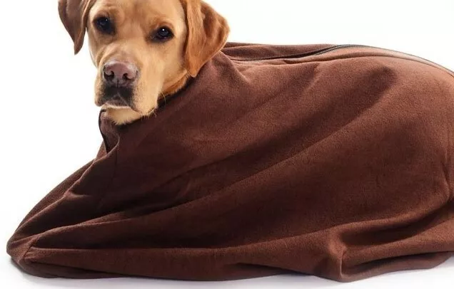Tms sales doggy bag