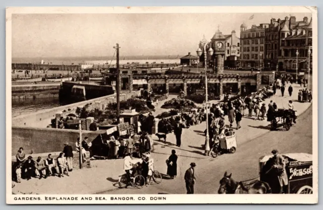 Postcard RPPC, Gardens Esplanade And Sea, Bangor County Down Northern Ireland