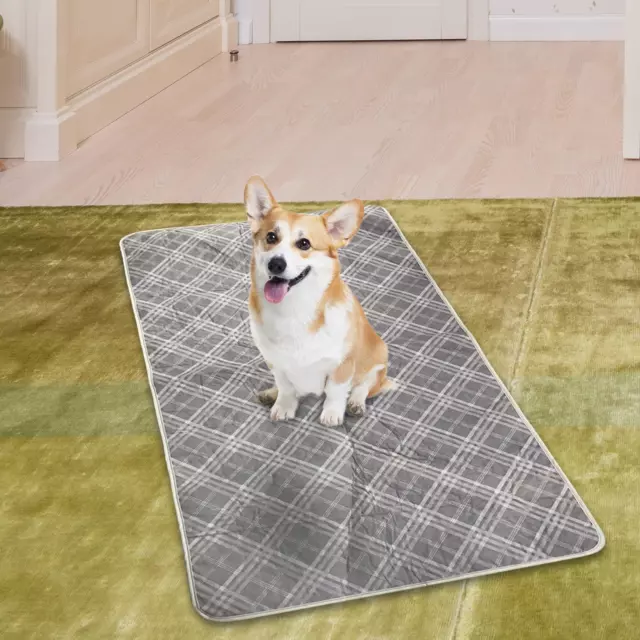 Almohadilla Pipi para Perros, Alfombra Gato, Cachorros, Gatitos, Caja Reutilizable,