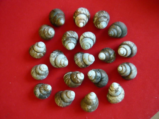 Aschenbecher Mit Deckel - Stylischer Edelstahl Aschenbecher Für Innen & Außen