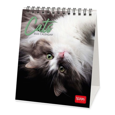 Byblos GATTINI KITTENS Calendario da parete 2019 BYBLOS 