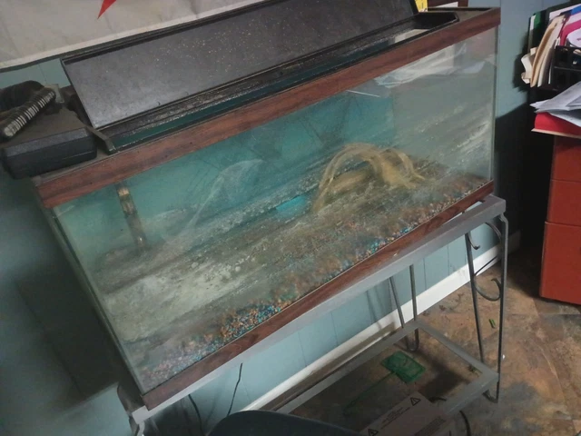 Fish Tank