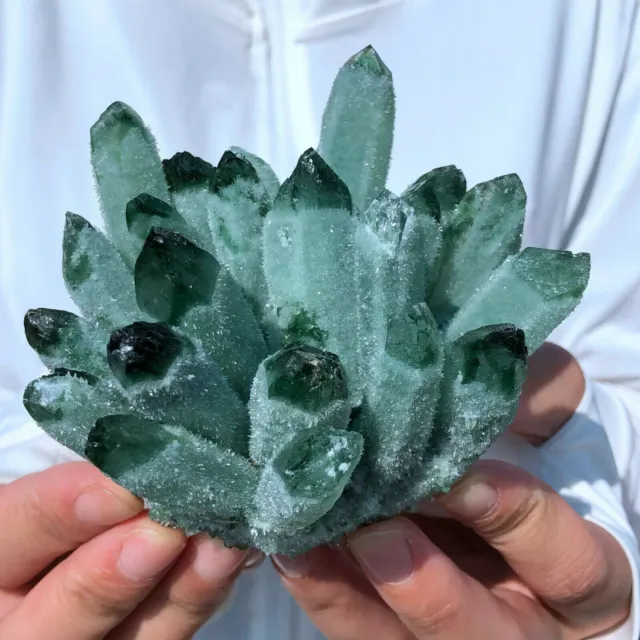 New Find Green Phantom Quartz Crystal Cluster Mineral Specimen Healing300g+/1pcs 5