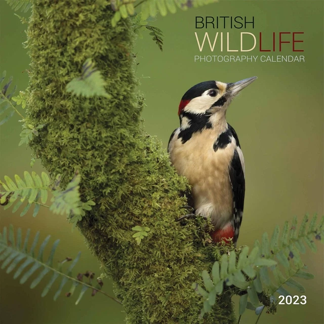 BRITISH WILDLIFE PHOTOGRAPHY Calendar 2023 - Animal - Month To View £8.