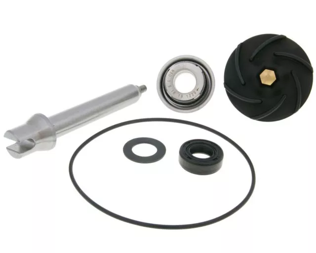 Wasserpumpe Reparaturkit für Piaggio X8/X9 400-500ie ZAPM521/ZAPM270 Roller