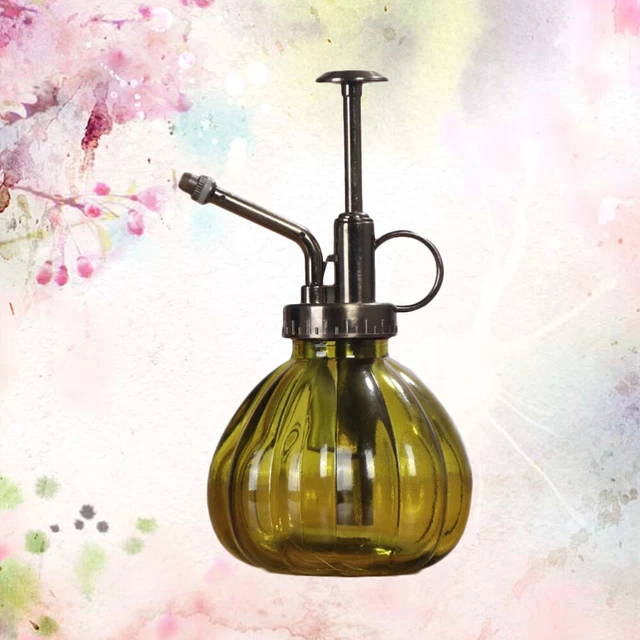 Gartenspritze Sprühflasche Aus Glas Saftige Topfdose Gieße Die Blumen
