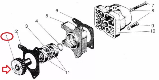 MTS Belarus Hydraulikpumpe Lenkungspumpe Pos.1x Zahnrad mit 6 Nuten 240-1022061