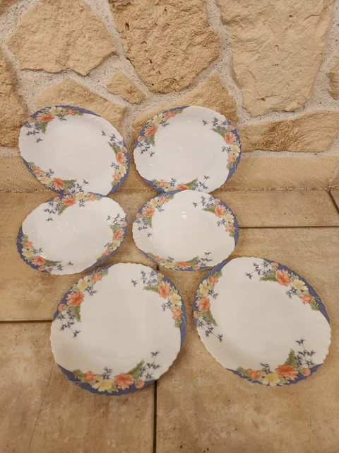 Lote De 5 Pequeños Platos Arcopal Vintage Francia D 19,5 Cm Decoración Floral
