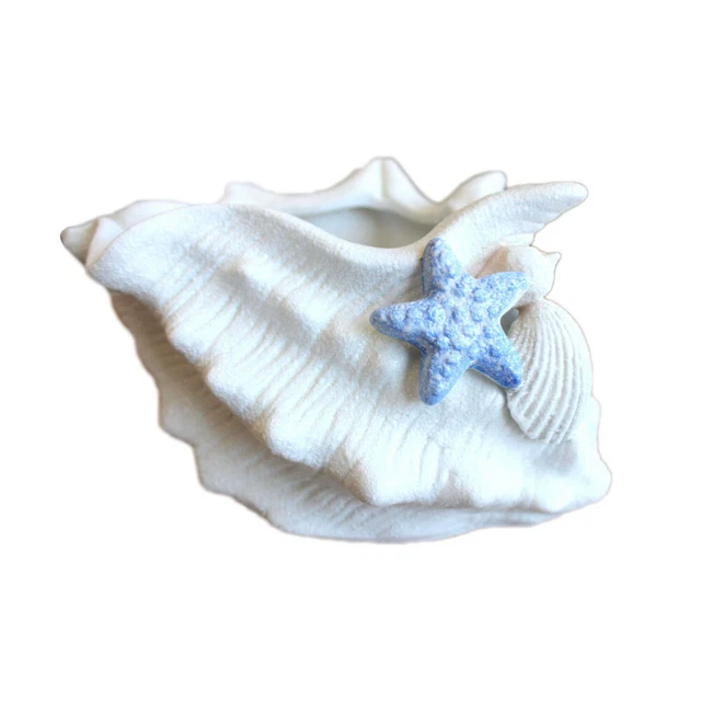 1PC Conch Design Pflanzer Gartenarbeit Blumentopf Sukkulente Topf