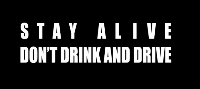 Stay alive don't drink and drive sticker vinyl decal, car, bumpers, window